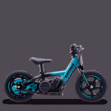 MX12-BLEU