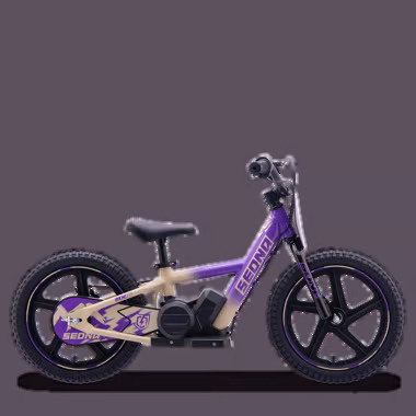 MX16-VIOLET