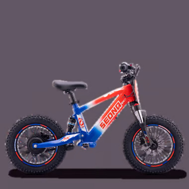 SX16 BLEU BLANC ROUGE