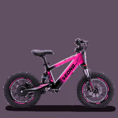 SX16 ROSE