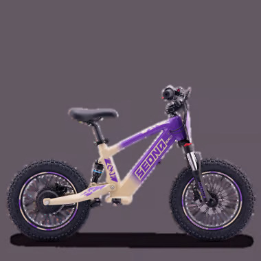 SX16 VIOLET