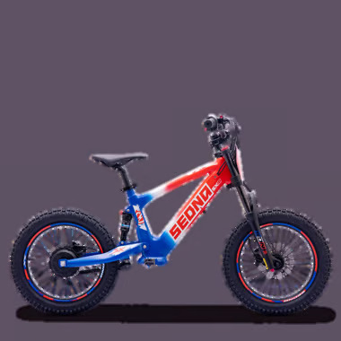 SX18 BLEU BLANC ROUGE