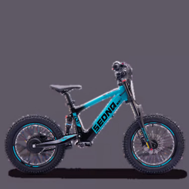 SX18 BLEU