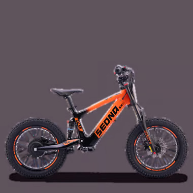 SX18 ORANGE