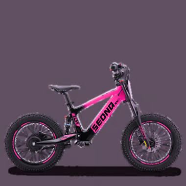 SX18 ROSE