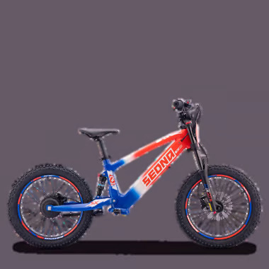 SX20 BLEU BLANC ROUGE
