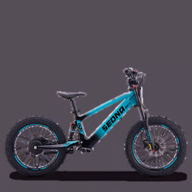 SX20 BLEU