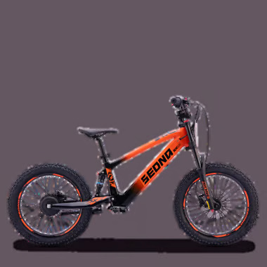 SX20 ORANGE