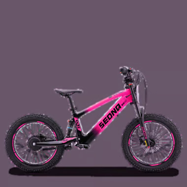 SX20 ROSE