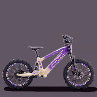 SX20 VIOLET